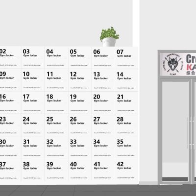 现代健身洗浴瑜伽储物柜加密柜