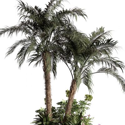 现代景观小品 灌木