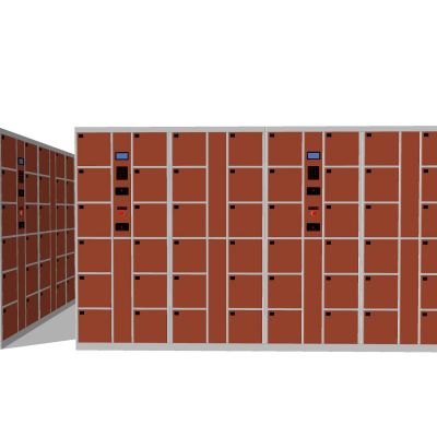 现代储物柜存放柜储存柜临时储物文件柜密码柜自提柜