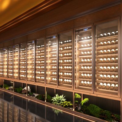 不锈钢实木红酒窖冷藏室恒温室恒温柜展示柜冷藏柜红酒酒窖