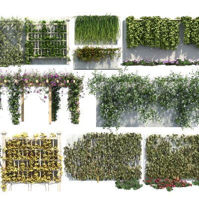 现代绿植藤曼组合