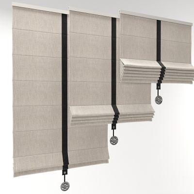 罗马帘 283D模型