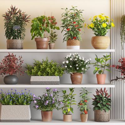 现代花盆盆栽组合