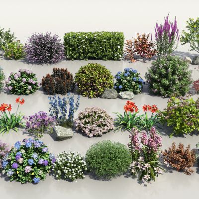 现代花卉灌木组合