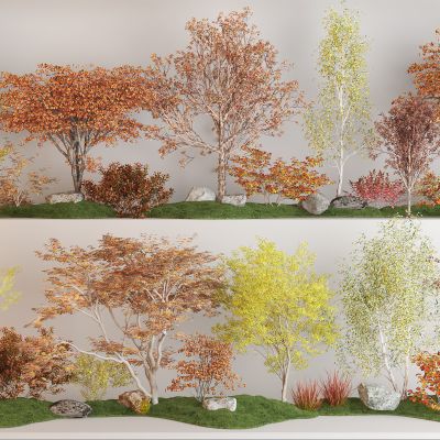 现代景观树组合