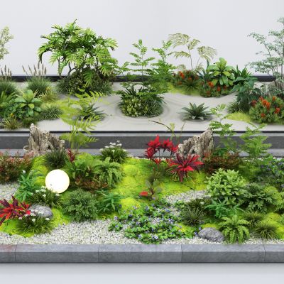 现代景观植物组合