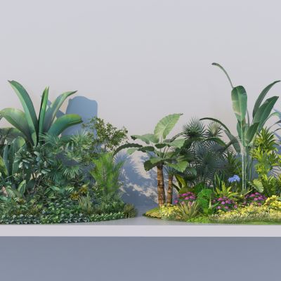 热带植物_植物组团