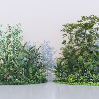 热带植物_植物组团_植物组合_庭院植物组团_景观植物