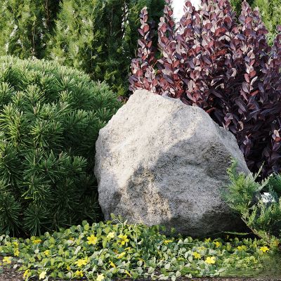 现代植物花草,地面绿植