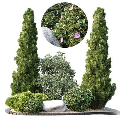 现代植物花草,地面绿植