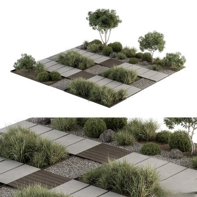 现代植物花草,地面绿植