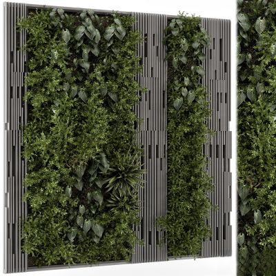 现代植物花草,垂吊和墙面