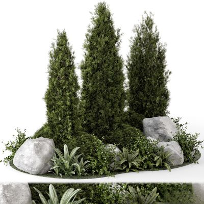 现代植物花草,地面绿植