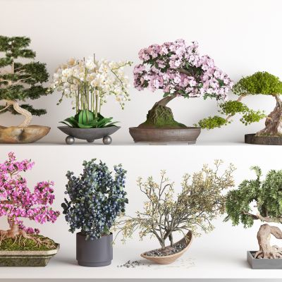 现代花盆盆栽组合