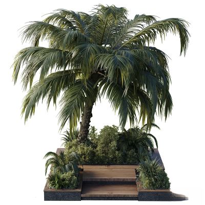 现代植物花草,地面绿植