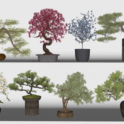 现代花盆盆栽组合3D模型