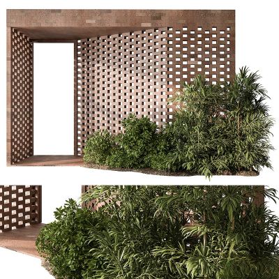 现代植物花草,地面绿植