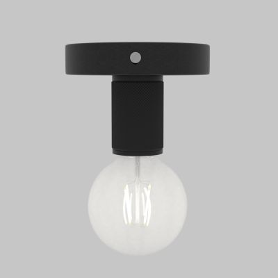 灯 灯具 吸顶灯 照明灯 装饰灯