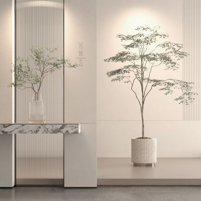 植物 绿植 花盆 盆栽 