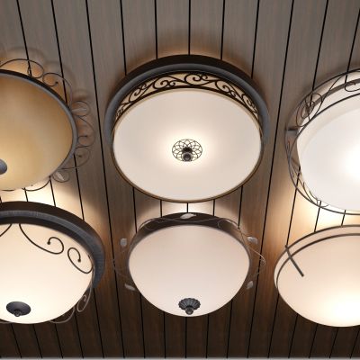 灯 灯具 吸顶灯 照明灯 装饰灯