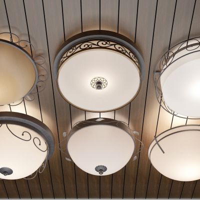 灯 灯具 吸顶灯 照明灯 装饰灯