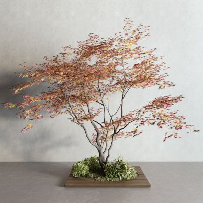 现代红枫 草 景观树3D模型
