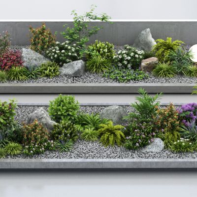 现代景观植物组合