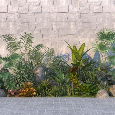 现代庭院植物组合 灌木花草 绿植花园 盆栽