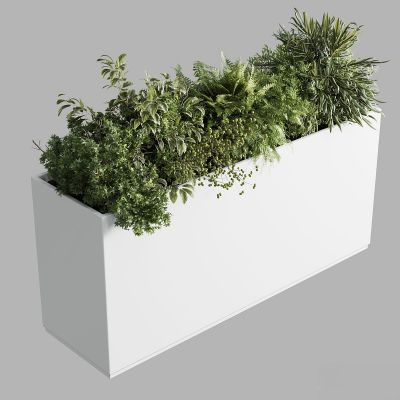 现代植物花草,植物盆栽