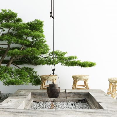 庭院 植物 绿植 花卉 茅草 屋顶花园 户外伞座 户外灯