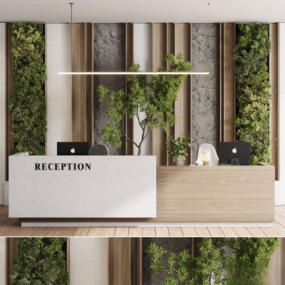 现代植物花草,桌面绿植