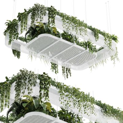 现代植物花草,垂吊和墙面