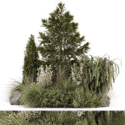 现代植物花草,地面绿植