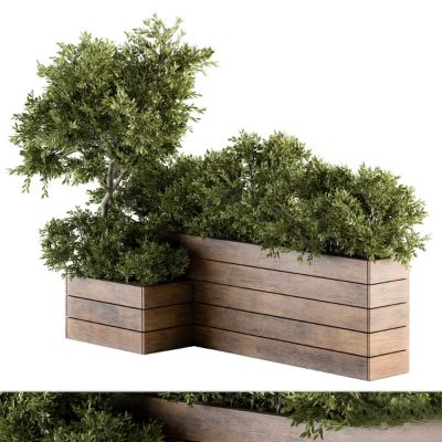 现代植物花草,植物盆栽