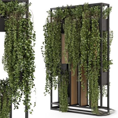 现代植物花草,藤蔓