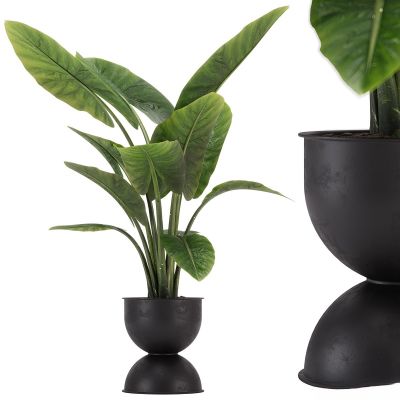 现代植物花草,植物盆栽