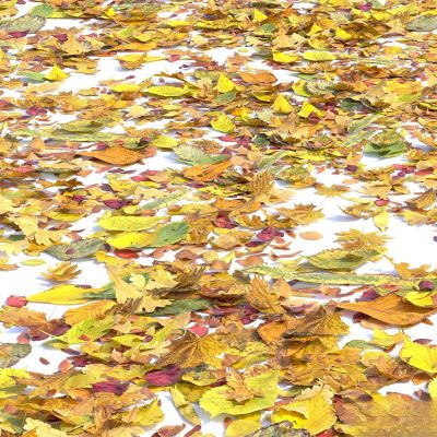 现代建筑户外,户外构建