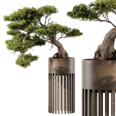 现代植物花草,植物盆栽