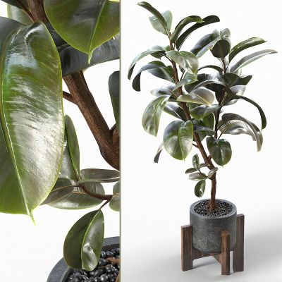 现代植物花草,植物盆栽