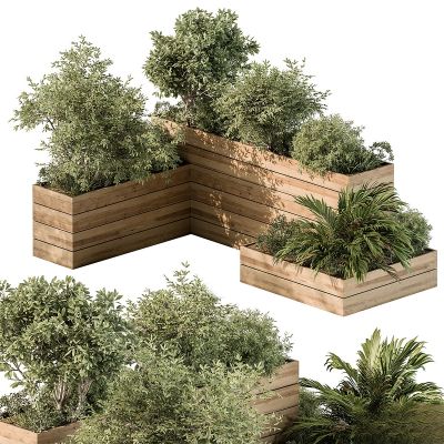 现代植物花草,植物盆栽