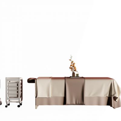 现代美容仪 桑拿床