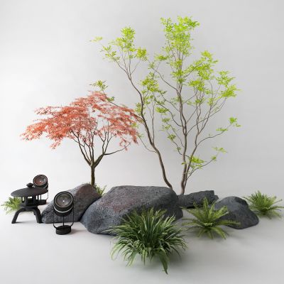 现代景观树 石头 草