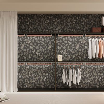 现代衣柜  金属衣柜 服饰包包 衣服 箱包