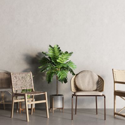 现代藤编椅 盆栽 