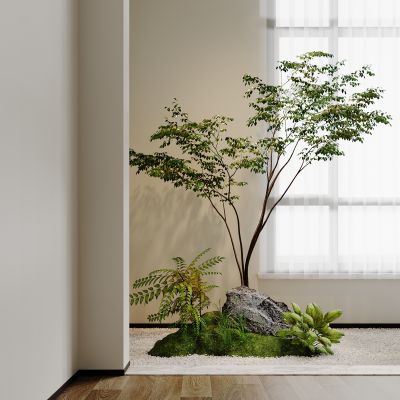  现代景观造景 室内景观植物3D模型