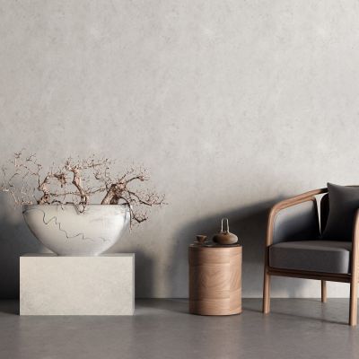 新中式休闲椅 圈椅 盆景