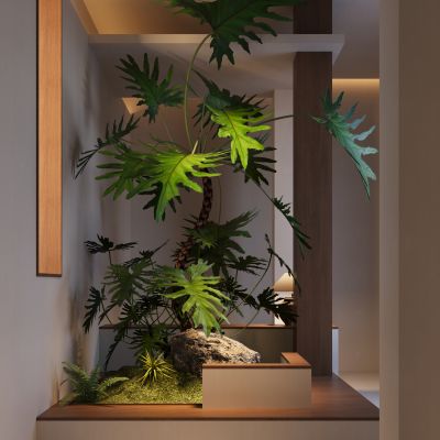 玄关植物3D模型