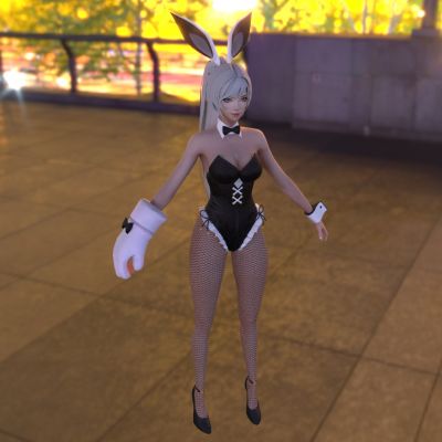 性感网袜蕾丝兔女郎