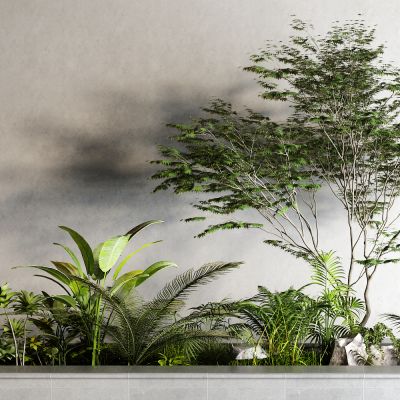 现代灌木 景观树