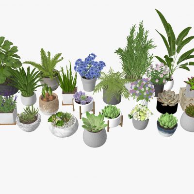 现代盆栽花盆水泥花盆植物盆栽摆件地被花卉多肉热带植物水仙